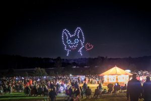 Ragley Hall Drone Show