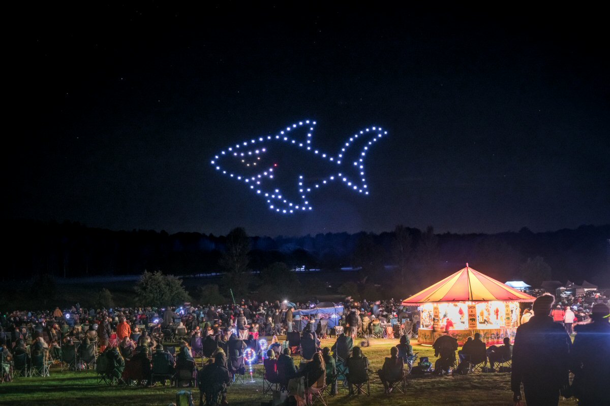 Drone Show - Fish