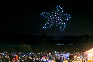 People gathered outdoors at night, watching a giant turtle shape made of illuminated drones in the sky, marveling at the breathtaking drone show.