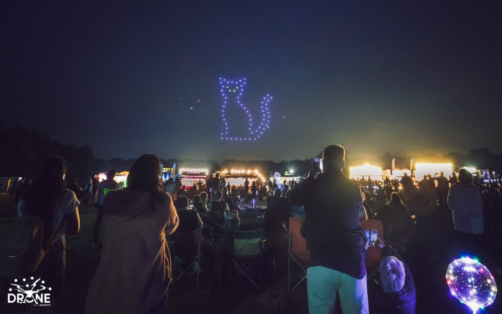 Drone Show at Hatfield House cat