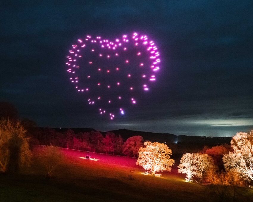 Pink fireworks form a glowing heart shape in the night sky above illuminated trees and a dark landscape, creating a magical backdrop perfect for memorable wedding photos.