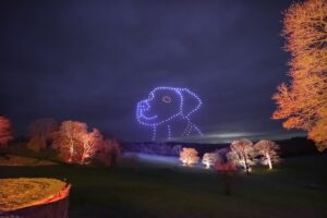 Drones form an outline of a dog in the night sky above an illuminated landscape with trees.